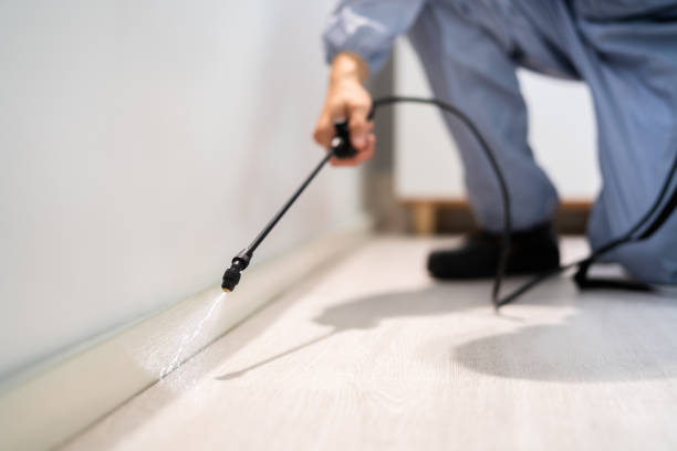 Licensed Pest Control service in Bronte, TX - Show Me Pest Control