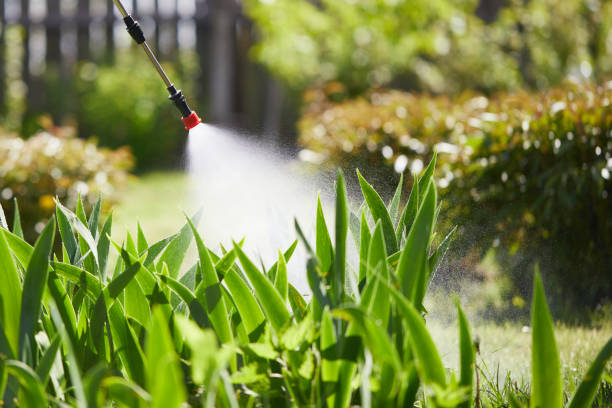 24/7 Emergency Ant Control experts in Bronte, TX