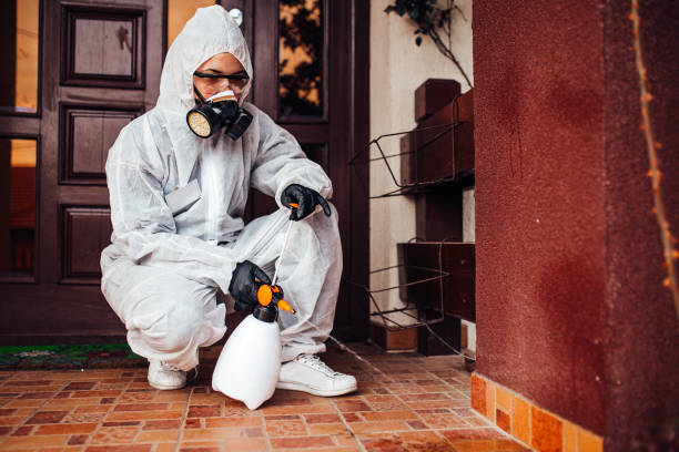 Reliable Ant Control contractor in Bronte, TX by Show Me Pest Control